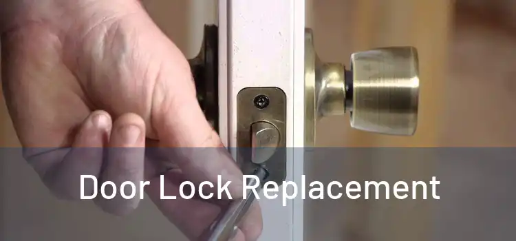  Door Lock Replacement 